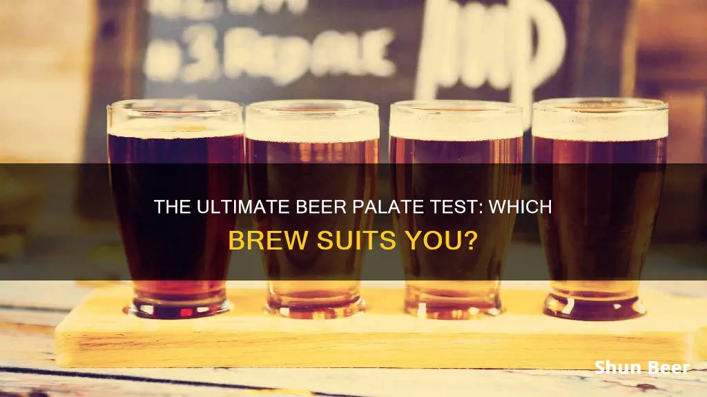 what beer should i drink test