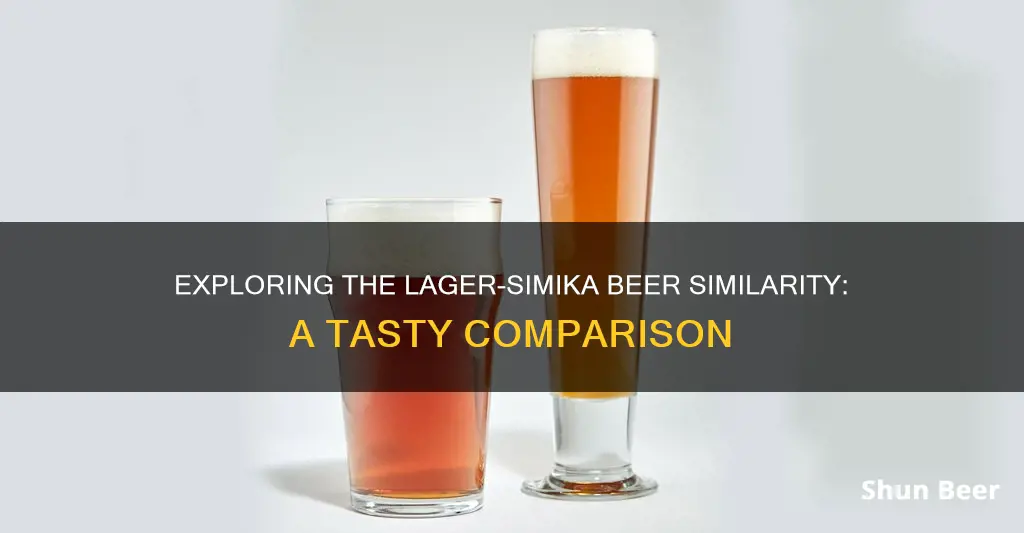 what beer simika to lager