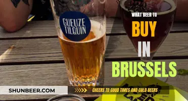 Brussels' Best Beer: A Guide to Buying Local Brews