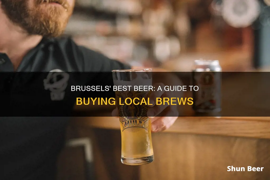 what beer to buy in brussels