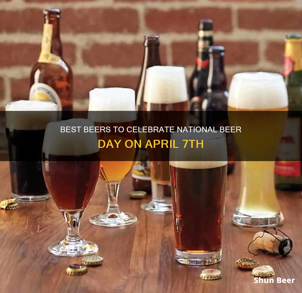 what beer to drink for national beer day april 7