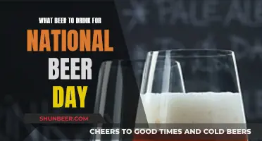 Best Beer Options to Celebrate National Beer Day