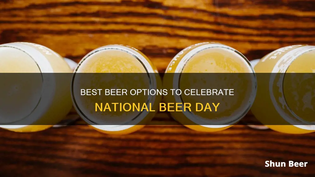 what beer to drink for national beer day