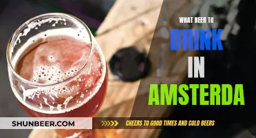 Best Beers to Try in Amsterdam