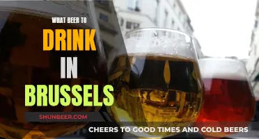 Brussels' Beer Guide: Best Brews to Try