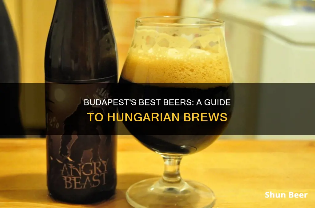 what beer to drink in budapest