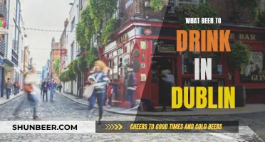 Dublin's Beer Delights: A Guide to Drinking in Ireland's Capital