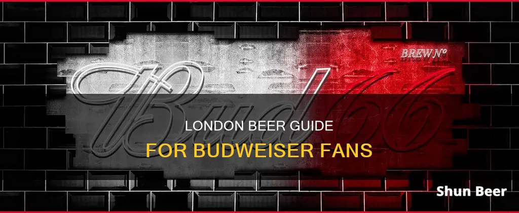 what beer to drink in london for a budweiser drinker