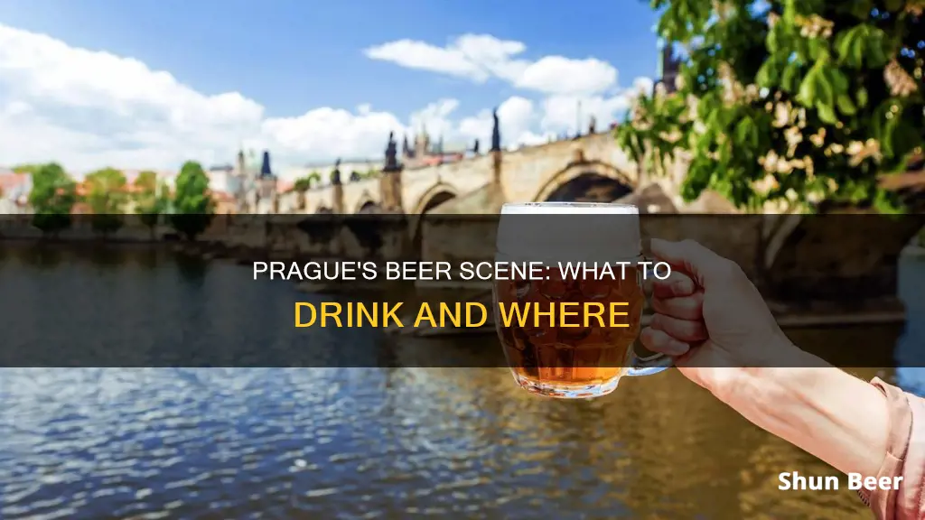 what beer to drink in prague