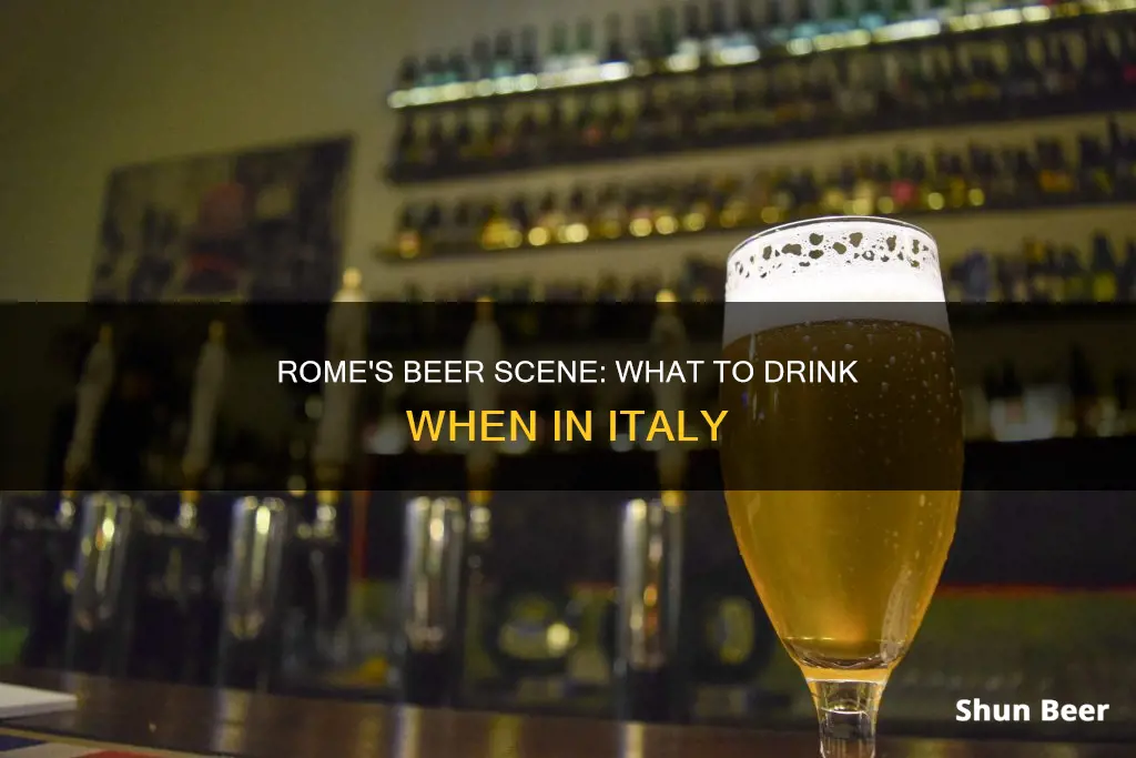 what beer to drink in rome