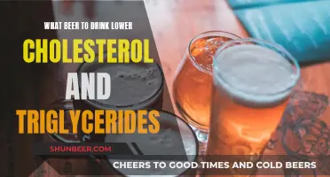 Best Beer Choices for Lowering Cholesterol and Triglycerides