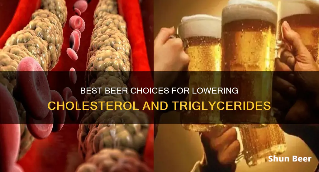 what beer to drink lower cholesterol and triglycerides