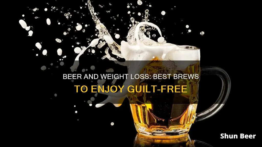 what beer to drink when losing weight