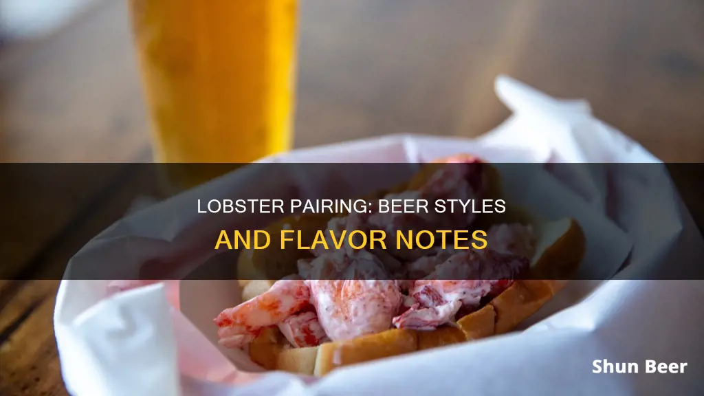 what beer to drink with lobster