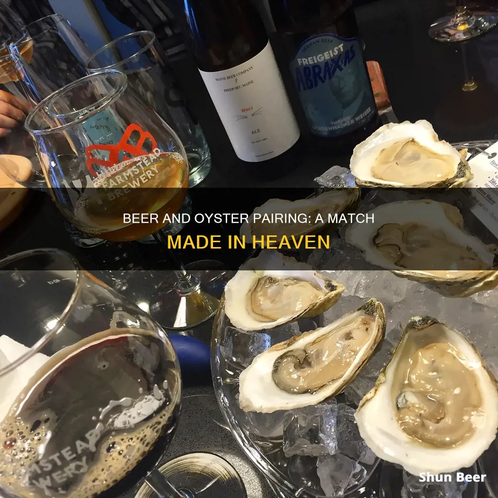 what beer to drink with oysters