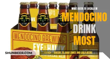 Mendocino's Favorite Beer: A Local's Perspective