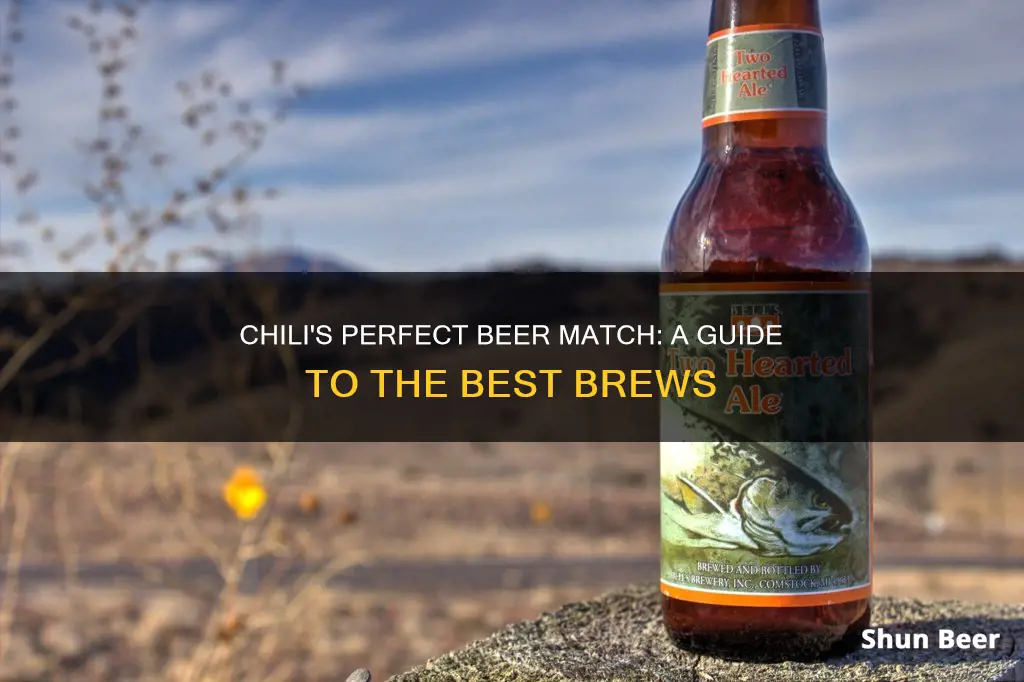 what beer to put in chili