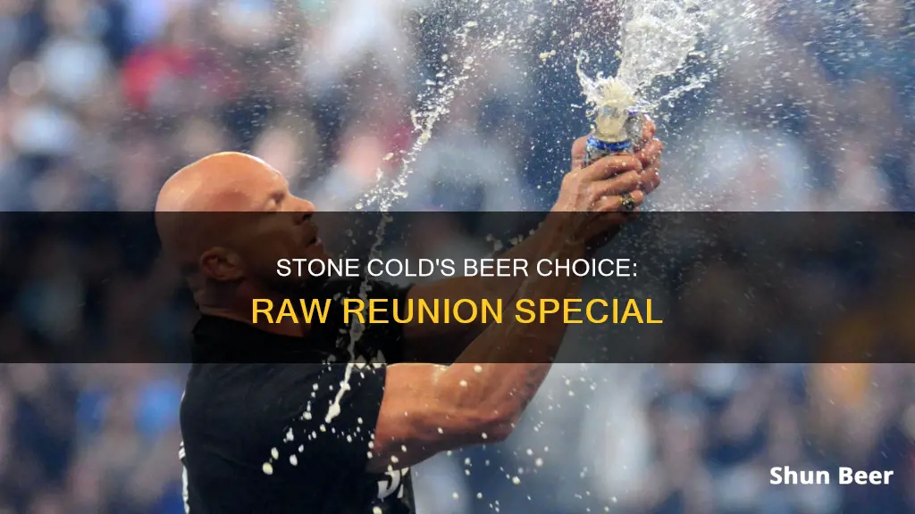 what beer was stone cold drinking on raw reunion