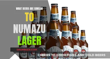 Exploring Numazu Lager's Similar Brews: A Guide to Similar Japanese Lagers