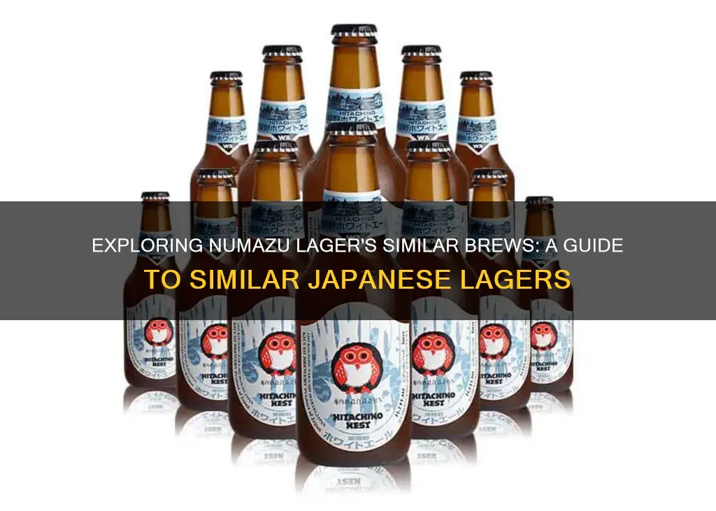 what beers are similar to numazu lager