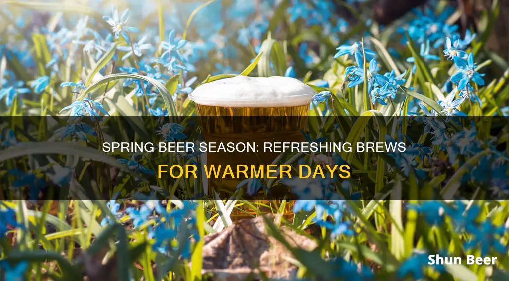 what beers do you drink in spring