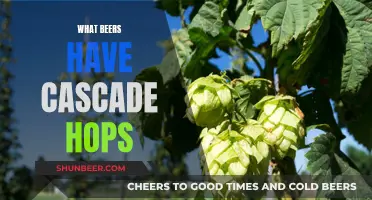 Cascade Hops Beers: A Comprehensive Guide to Delicious Brews