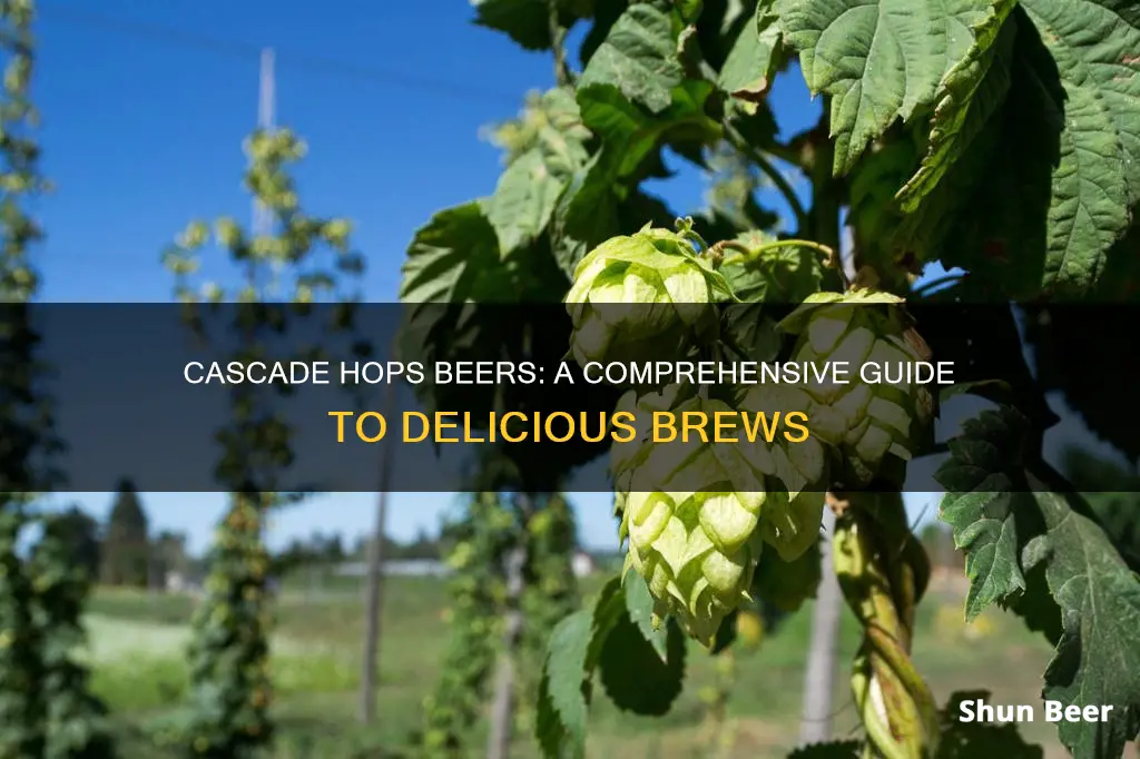 what beers have cascade hops