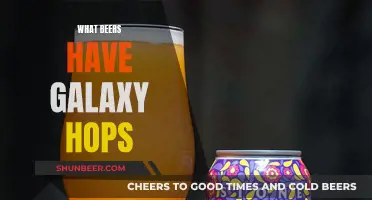 The Galaxy Hops Beer Guide: Exploring the Universe of Flavors