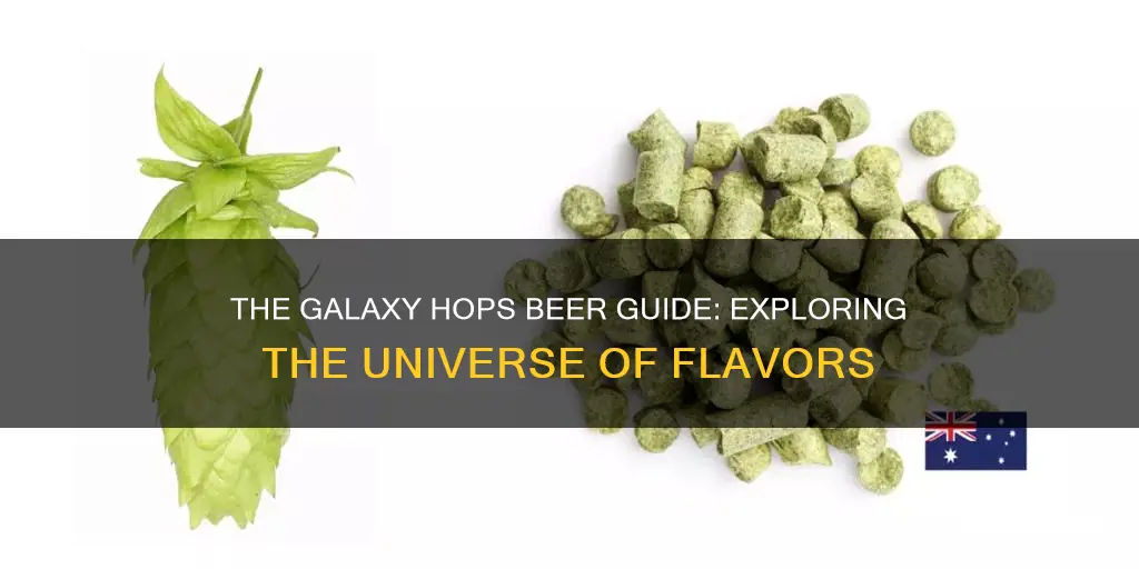 what beers have galaxy hops