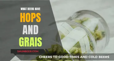 The Perfect Blend: Hops and Grains in Beers