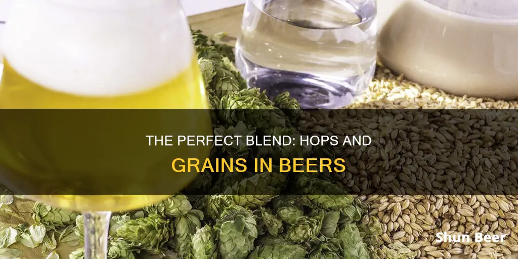 what beers have hops and grais