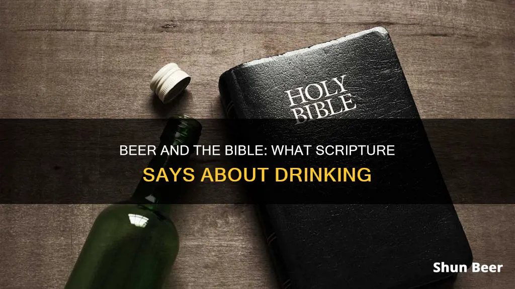 what bible says about drinking beer