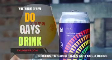 Gay-Friendly Beer: What's the Preferred Brand?