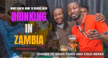 Zambia's Beer Culture: Strategies for Change