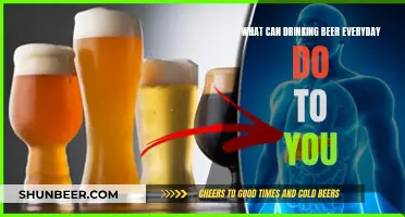 Beer Drinking: Daily Habits and Their Health Impact