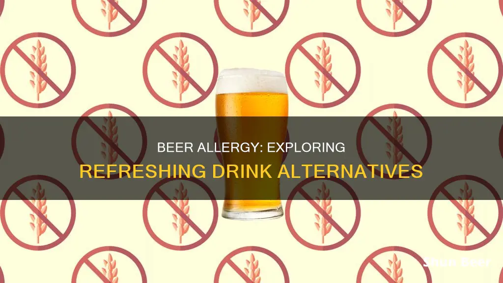 what can i drink if i am allergic to beer