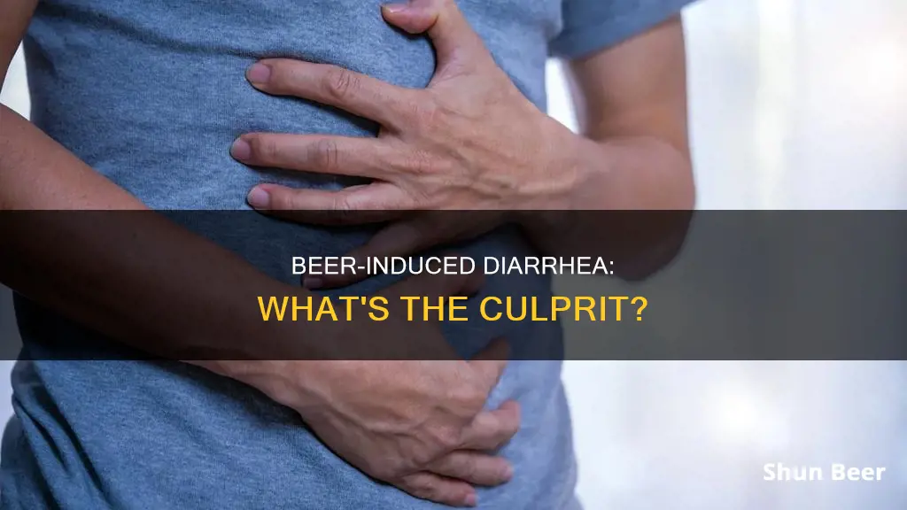 what causes diarrhea when drinking beer