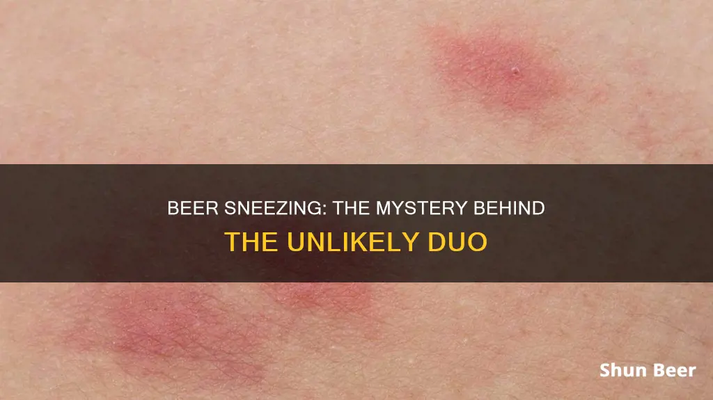 what causes sneezing after drinking beer