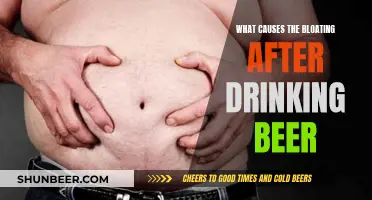 Beer Belly Bloat: Why Does Beer Cause Bloating?