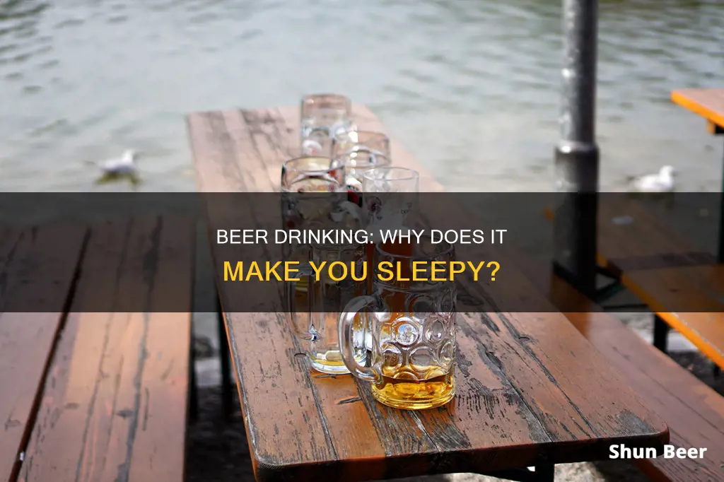 what causes ypu to become tired when you drink beer