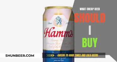 Cheap Beer, Big Taste: Best Budget Brews