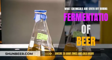 Unveiling the Chemistry: What's Really Happening in Beer Fermentation