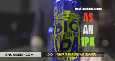 The Distinctive Characteristics of an IPA Beer