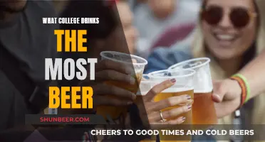 Drinking Culture: Colleges with the Highest Beer Consumption