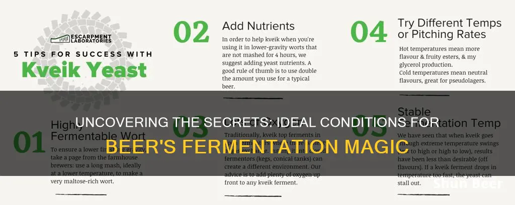 what conditions favor the fermentation process in beer making