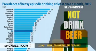 Beer-Free Nations: A Global Perspective on Sobriety