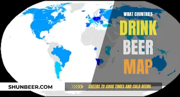 Beer Drinking Around the World: A Country Comparison