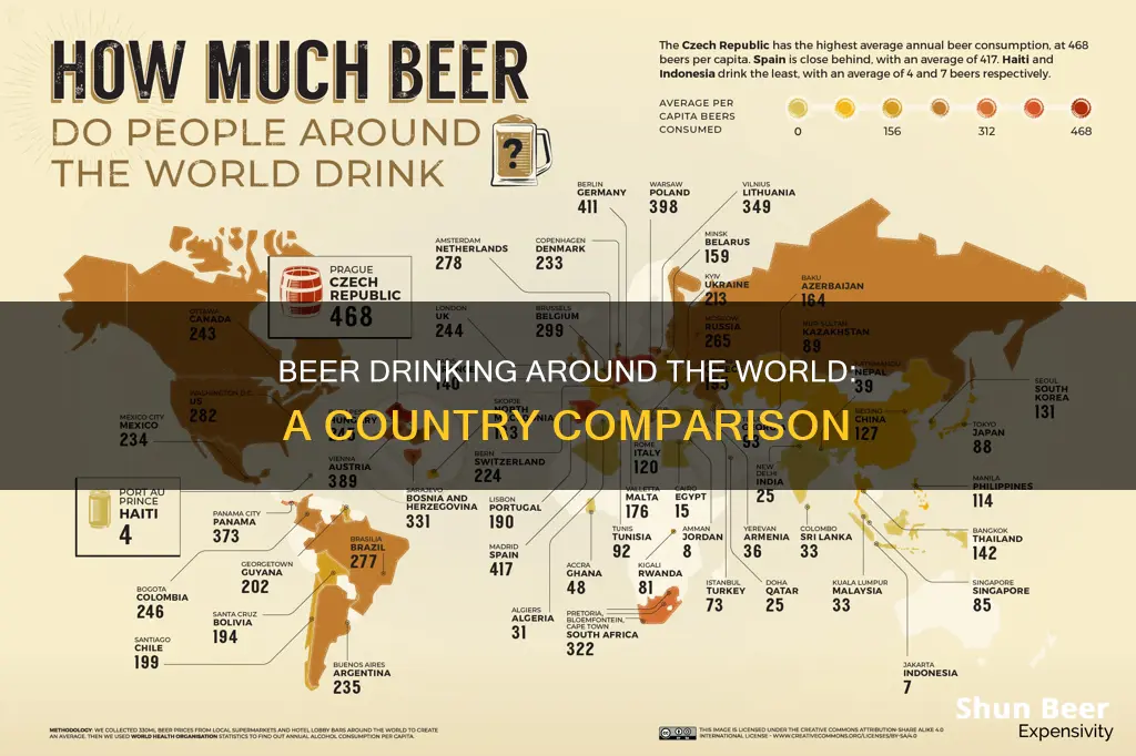 what countries drink beer map