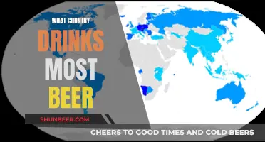 Beer Consumption: Which Country Leads the World?