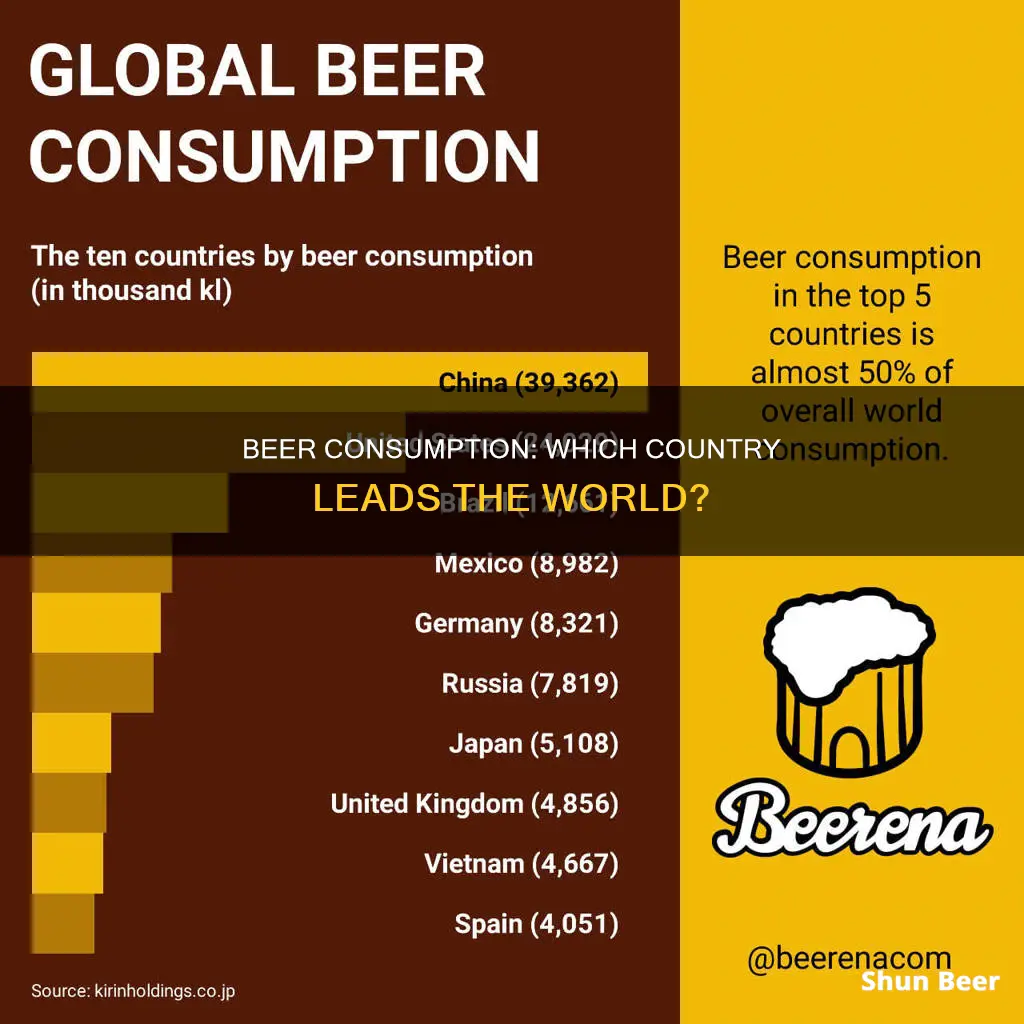 what country drinks most beer